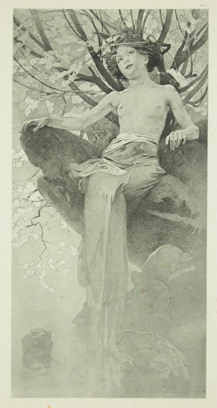 ����ե��󥹡��ߥ奷�㡡��������������PL.5��