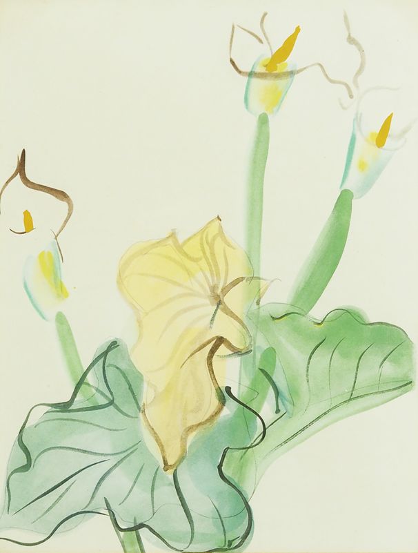 �饦�롦�ǥ�ե����֥��顼��