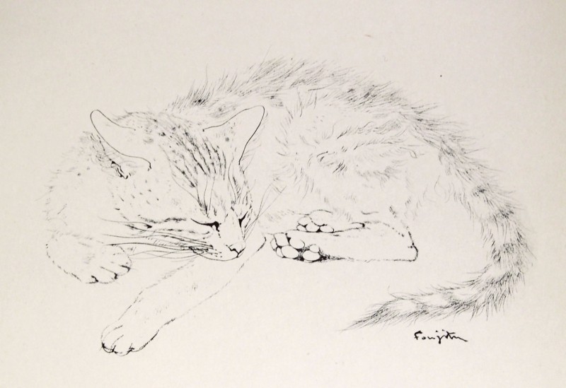 ƣ�Ļ̼��������ǭ��X��