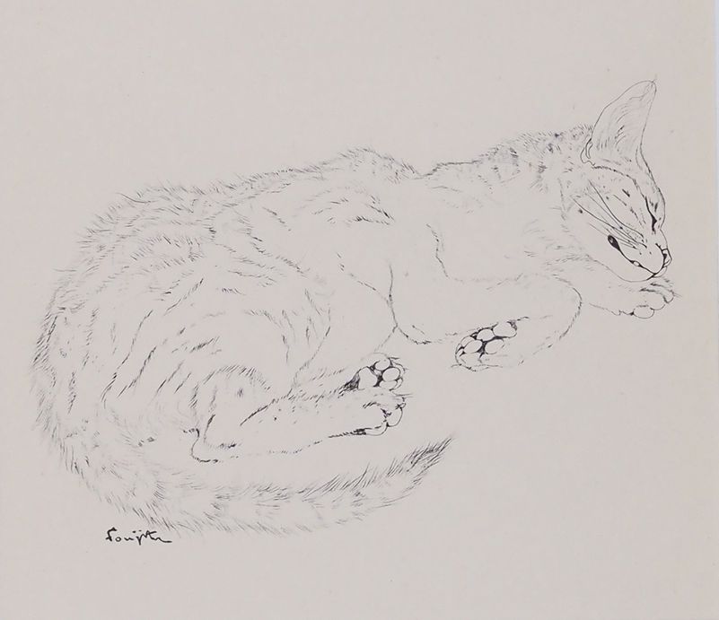 ƣ�Ļ̼��������ǭ��IV��