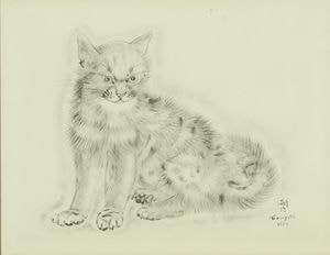 ƣ�Ļ̼����֥��饷����ס�