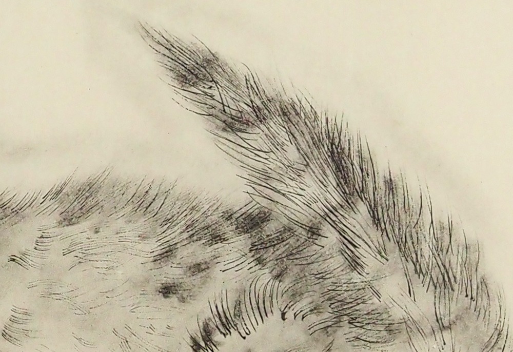 藤田嗣治 「アビハイル」 | | アトリエ・ブランカ