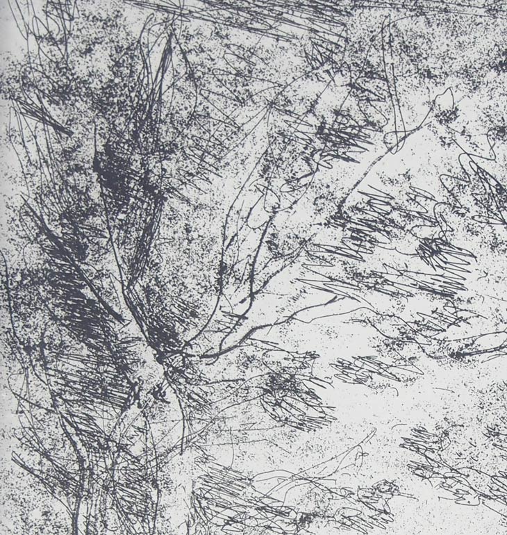 ヴィル・ダヴレーの森　コロー ナポリの浜の思い出|ジャン=バティスト=カミーユ・コロー |所蔵