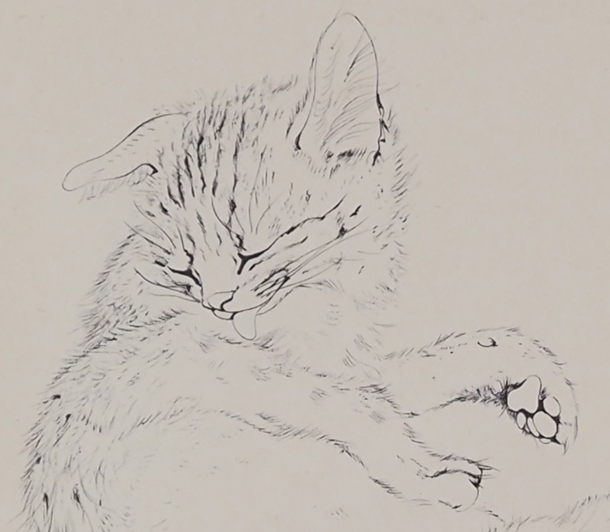 ƣ�Ļ̼��������ǭ��V��