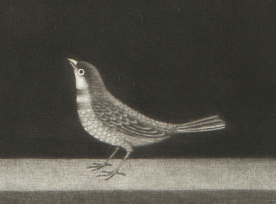 Ĺë��顡�־�Ļ�ȸ�ĳ��