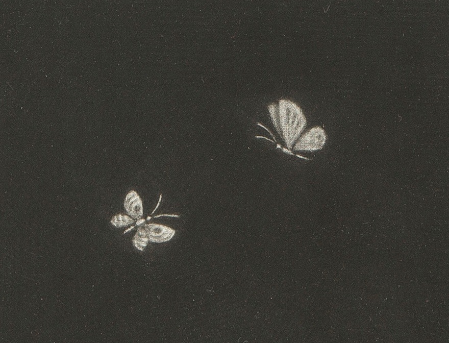 Ĺë��顡�־�Ļ�ȸ�ĳ��