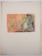 ����ʸ�ݻ�إ��������19��20�桡-Couleur de Picasso-
