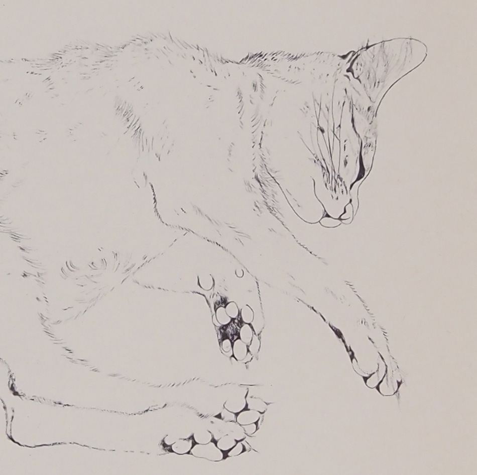 ƣ�Ļ̼��������ǭ��VIII��