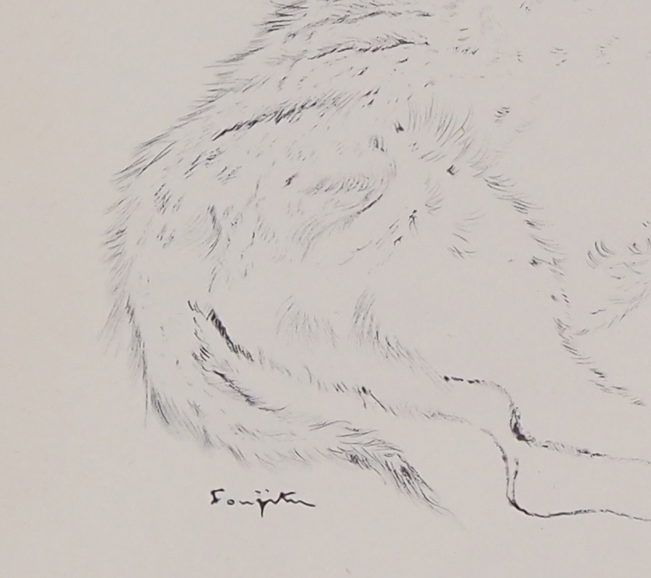 ƣ�Ļ̼��������ǭ��VIII��