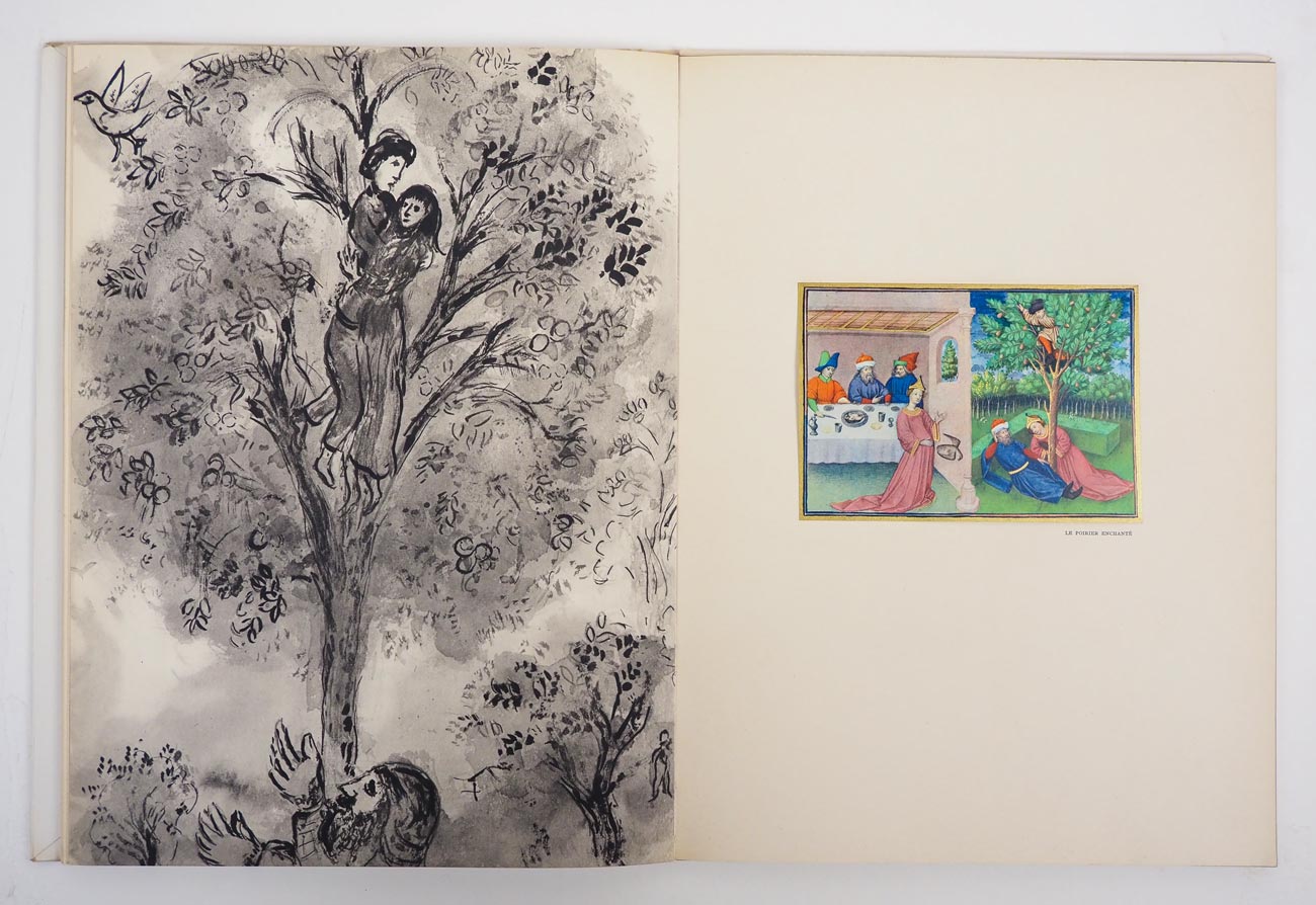 �ޥ륯�����㥬���롡����ʸ�ݻ�إ��������24�桡-�ܥå��å����ʪ��-