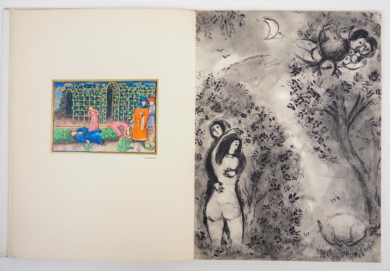 �ޥ륯�����㥬���롡����ʸ�ݻ�إ��������24�桡-�ܥå��å����ʪ��-