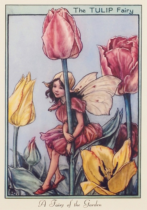 2_000000002014.jpg?1678209905