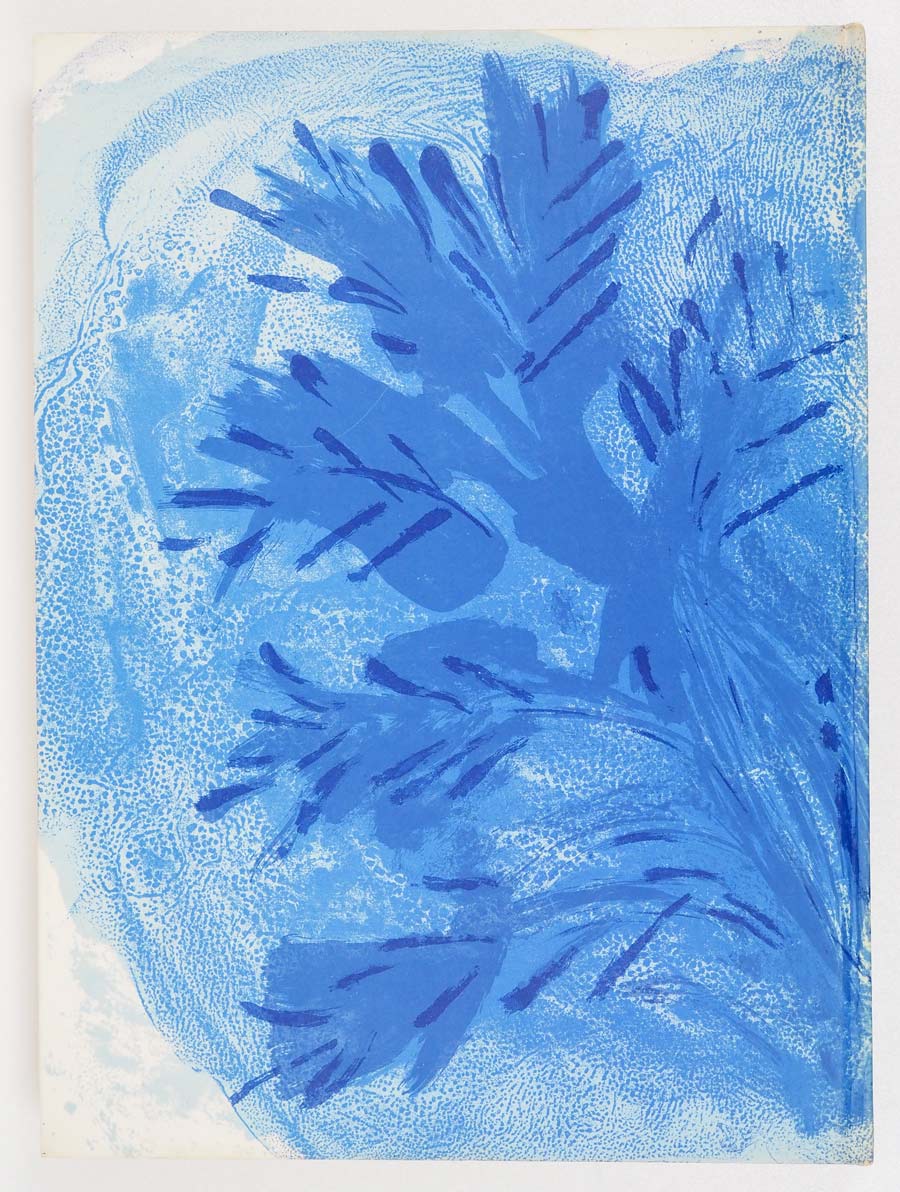 ʸݻإ3334桡-BIBLE-