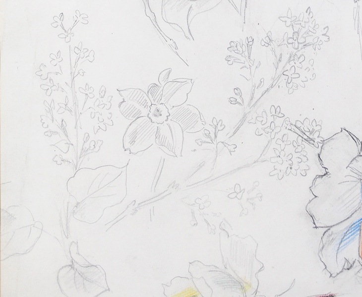 �饦�롦�ǥ�ե����ֲ֤ν����