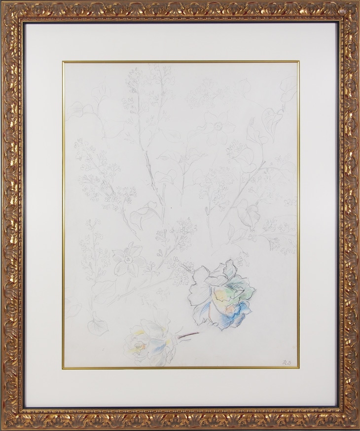 �饦�롦�ǥ�ե����ֲ֤ν����