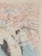 �륤���������롡�֥��ץ�� �֥��å����