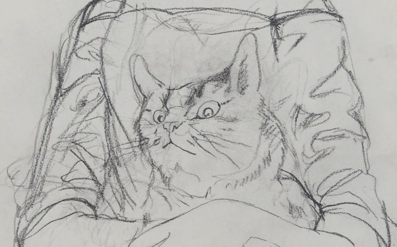 藤田嗣治 「猫を抱いて座る少女」 | | アトリエ・ブランカ