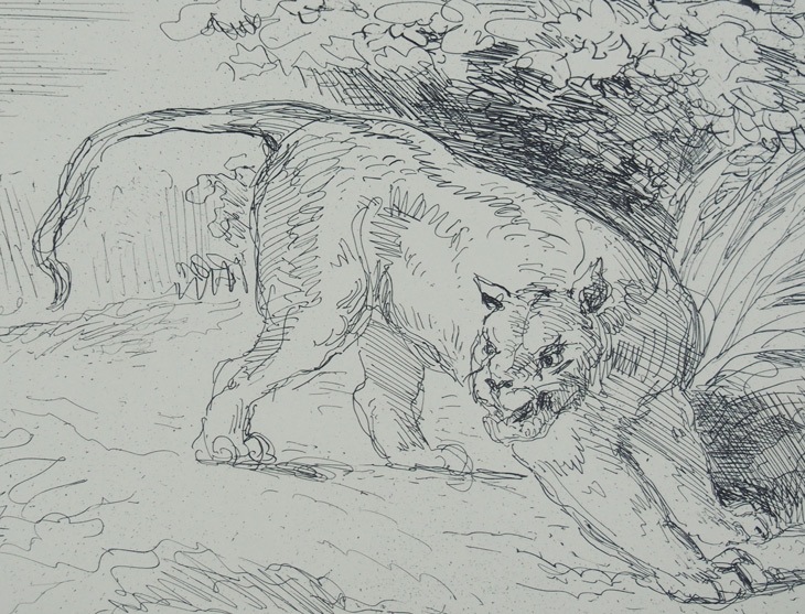 ウジェーヌ・ドラクロワ 「立ちどまった虎」 | | アトリエ・ブランカ