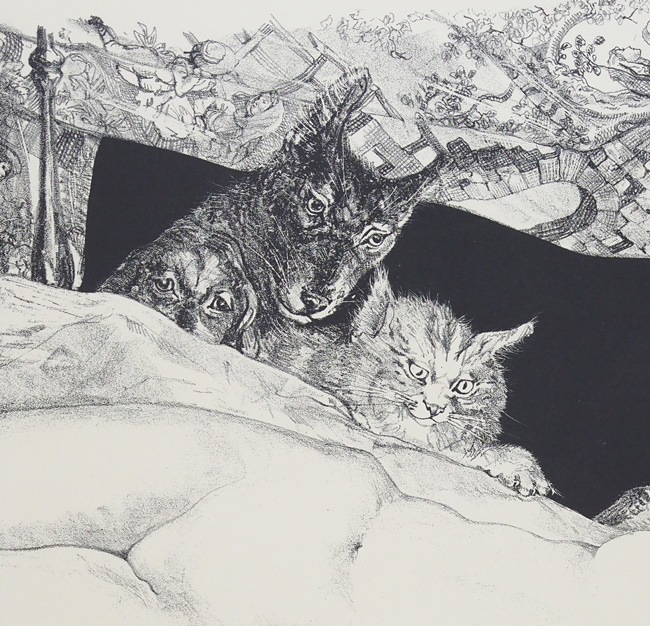 ƣ�Ļ̼�����̴��