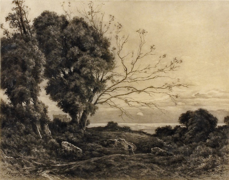 �����᥸�祻�ա�����ԥˡ����ֲ�ϩ��