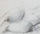 ƣ�Ļ̼����ֲ���������ءס�