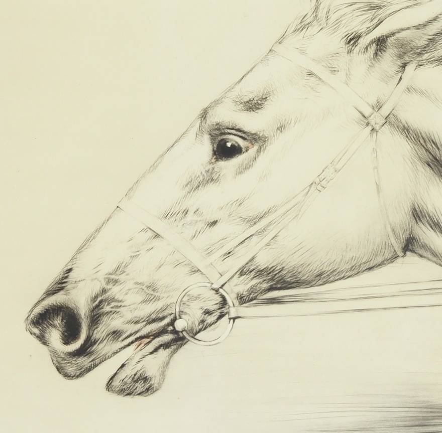 �륤���������롡�֥���֥�åɡ�