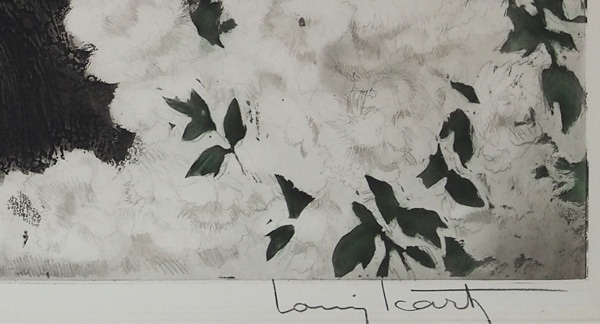 �륤���������롡�֥���� �֥��å����