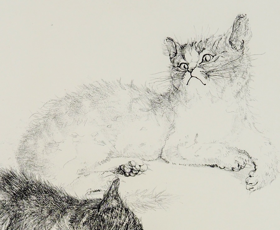 ƣ�Ļ̼�����ɤ��ǭ��