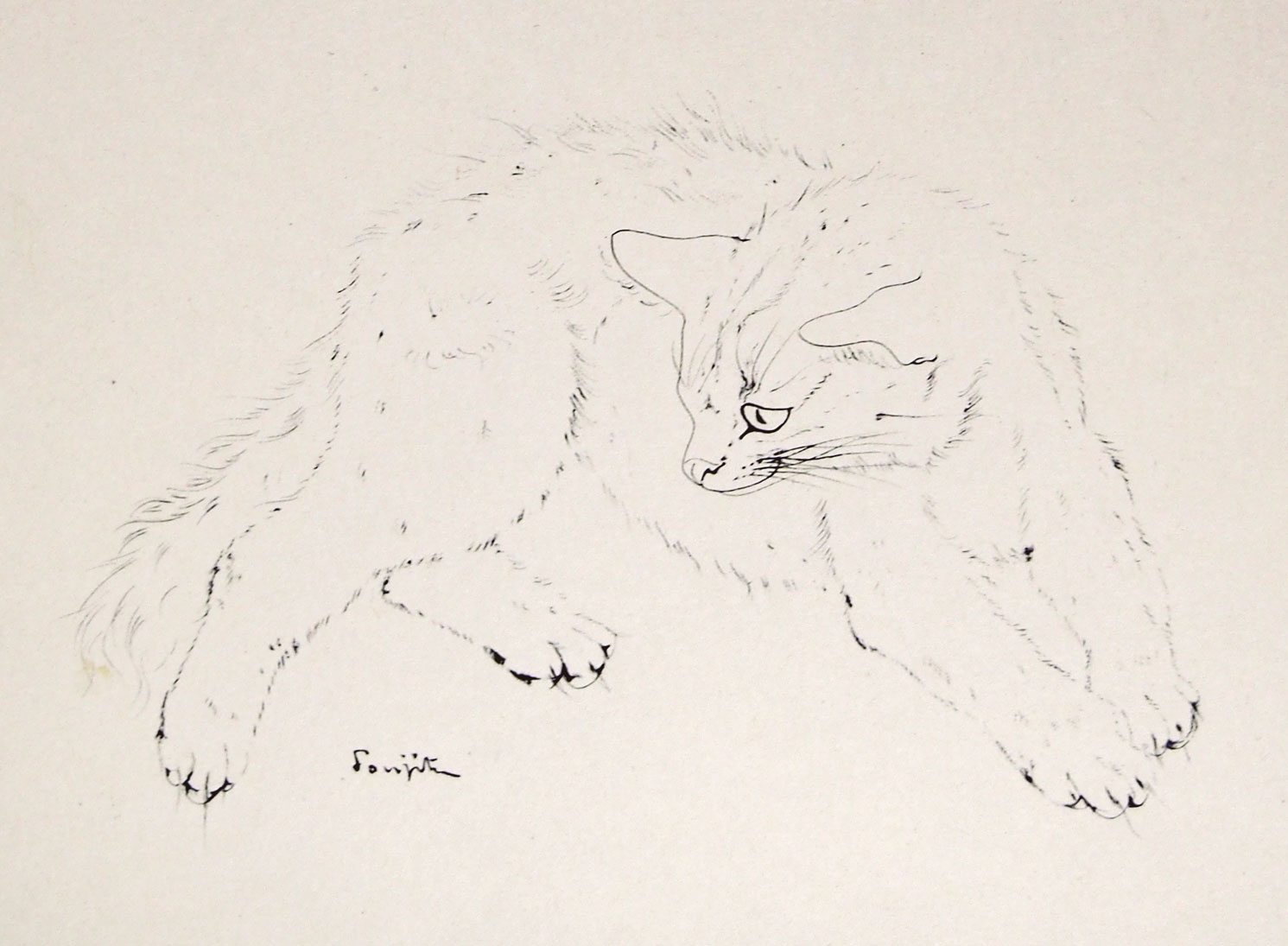 初版1950年『夜と猫』藤田嗣治 挿絵12点入り 経年あり 希少 挿絵本 藤田嗣治『夜と猫』のご紹介 | アトリエ・ブランカ 新ART BLOG