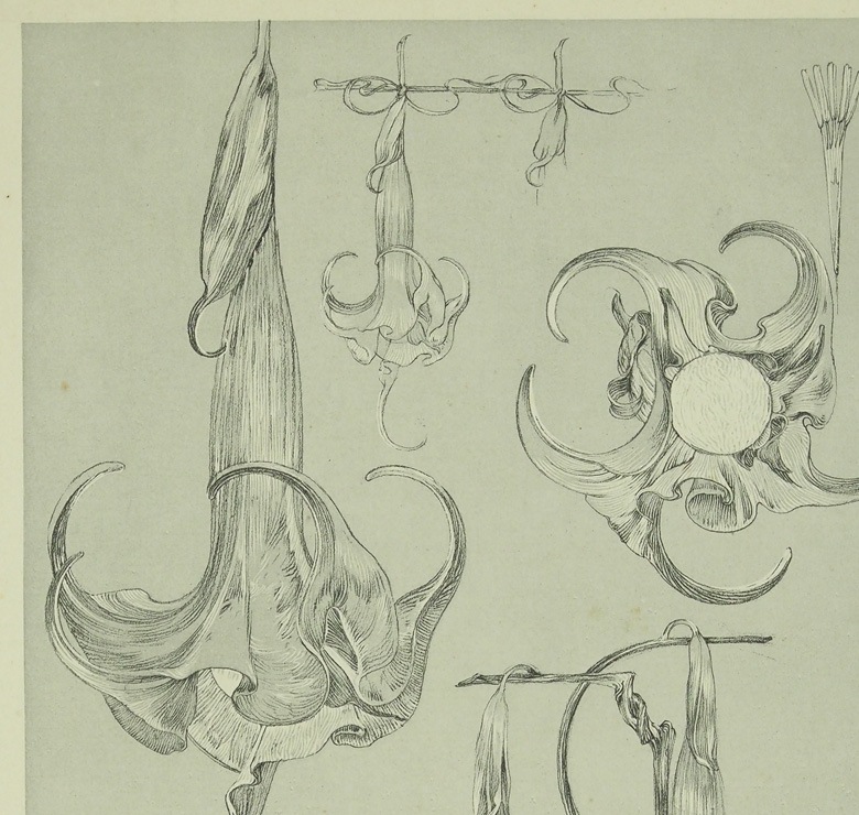 ����ե��󥹡��ߥ奷�㡡��������������PL.70��