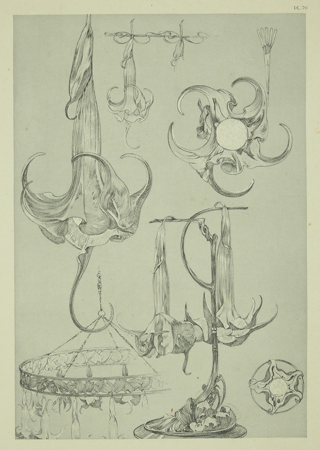 ����ե��󥹡��ߥ奷�㡡��������������PL.70��