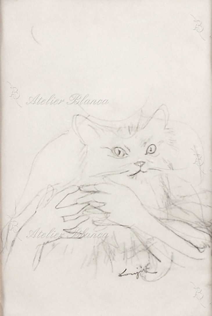 ƣ�Ļ̼����������줿ǭ�ʾ����ζ��ˡˡ�