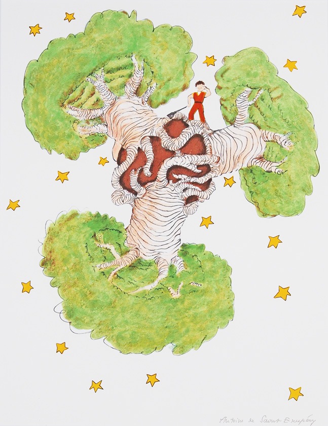 サン＝テグジュペリ 「バオバブの木（小）」 | | アトリエ・ブランカ