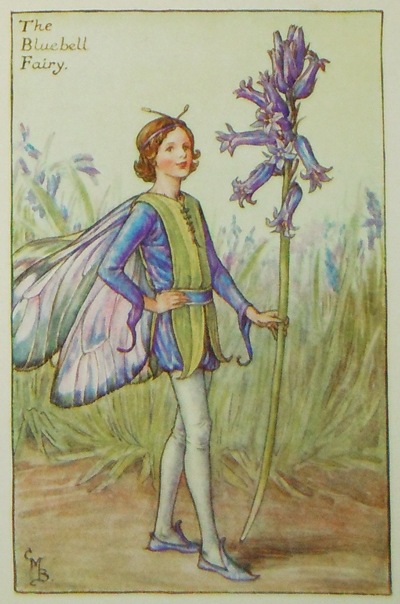 THEAppleBlossmFairiesシシリー・メアリー・バーカー 花の妖精 シシリー・メアリー・バーカー 挿画本「花の妖精・春