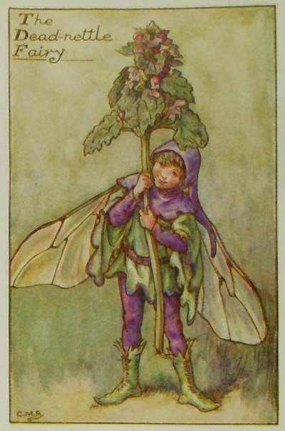 シシリー・メアリー・バーカー 挿画本「花の妖精・春」 | | アトリエ