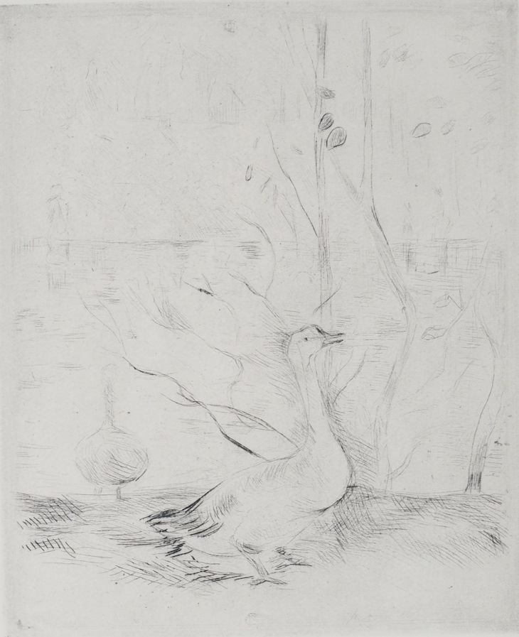 �٥�ȡ���꥾�����Ļ��