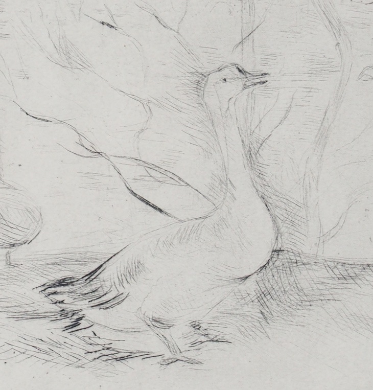 �٥�ȡ���꥾�����Ļ��