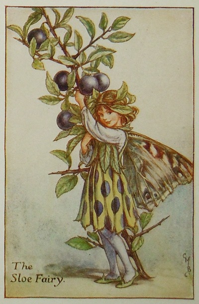 �����꡼���ᥢ�꡼���С��������޲��ܡֲ֤�����������