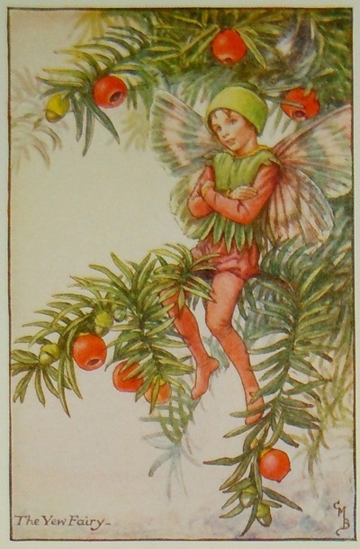 �����꡼���ᥢ�꡼���С��������޲��ܡֲ֤�����������