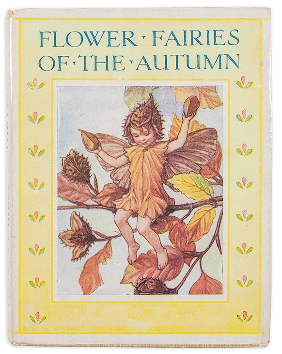 �����꡼���ᥢ�꡼���С��������޲��ܡֲ֤�����������