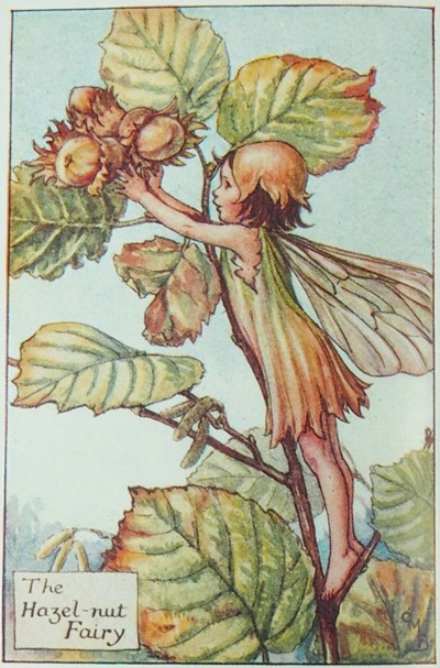 �����꡼���ᥢ�꡼���С��������޲��ܡֲ֤�����������