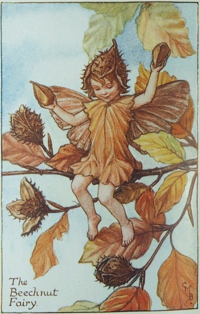 シシリー・メアリー・バーカー ◆貴重◆大判・限定プレート　【秋・どんぐりの妖精】 シシリー・メアリー・バーカー ◇貴重◇大判・限定プレート 【秋