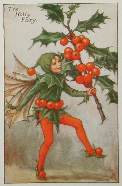 �����꡼���ᥢ�꡼���С��������޲��ܡֲ֤�����������