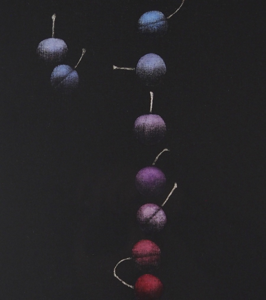 浜口 陽三 「22のさくらんぼ」 | | アトリエ・ブランカ