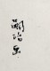 ƣ�Ļ̼����֥ޥɥ졼�̡ס�