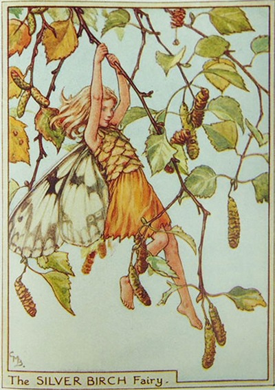 �����꡼���ᥢ�꡼���С��������޲��ܡֲ֤��������ڡ�