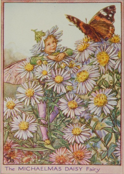 �����꡼���ᥢ�꡼���С��������޲��ܡֲ֤�����������