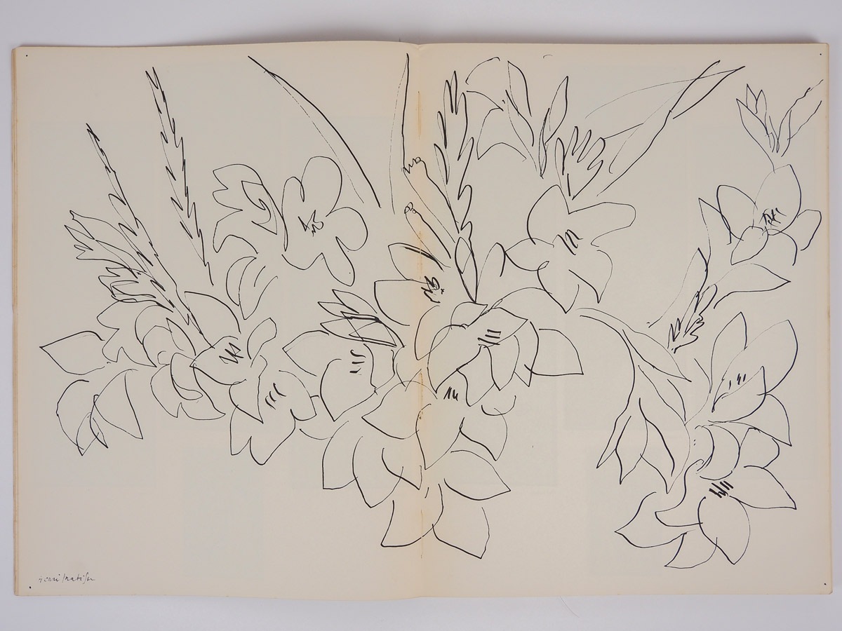 ����ʸ�ݻ�إ��������04��