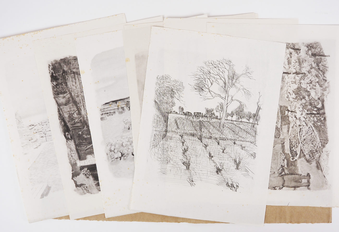 �⡼�ꥹ���֥ꥢ�󥷥�󡡡ز�����ƺȪ��ᤰ�äơ�