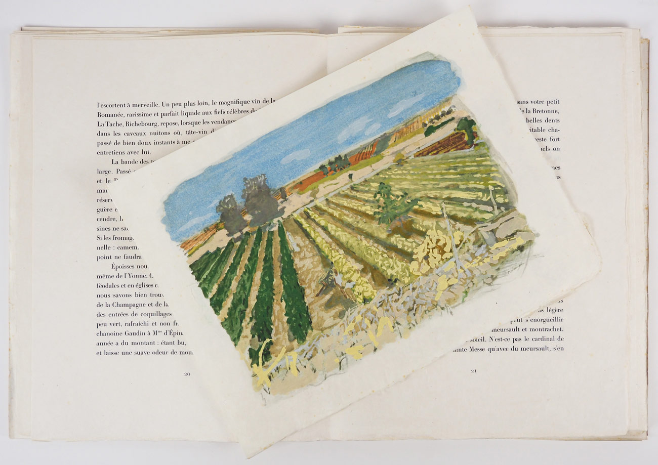 �⡼�ꥹ���֥ꥢ�󥷥�󡡡ز�����ƺȪ��ᤰ�äơ�